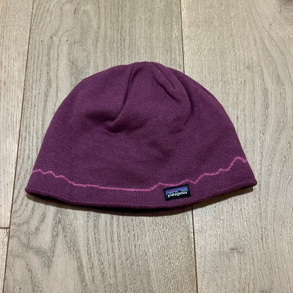 Patagonia winter hat